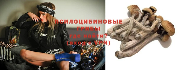 амфетамин Белокуриха