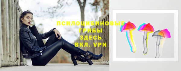 амфетамин Белокуриха
