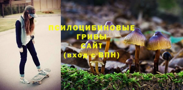 амфетамин Белокуриха