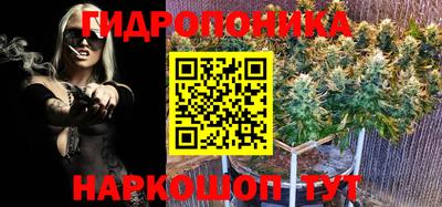 PSILOCYBIN Тара