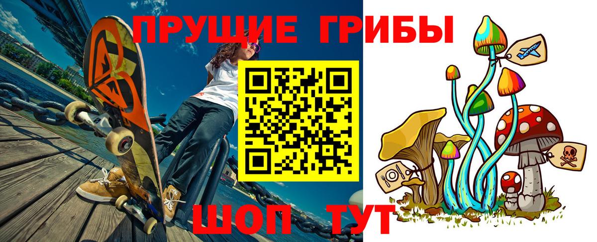 Псилоцибиновые грибы Cubensis Славгород