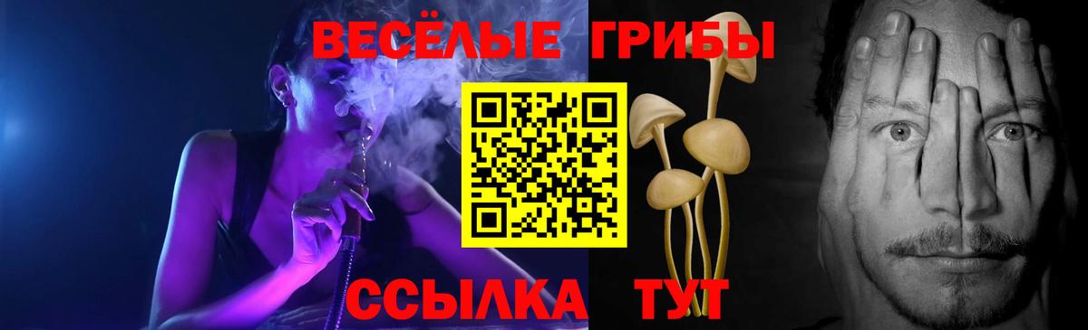 Галлюциногенные грибы Psilocybe  Вход с VPN  Славгород 